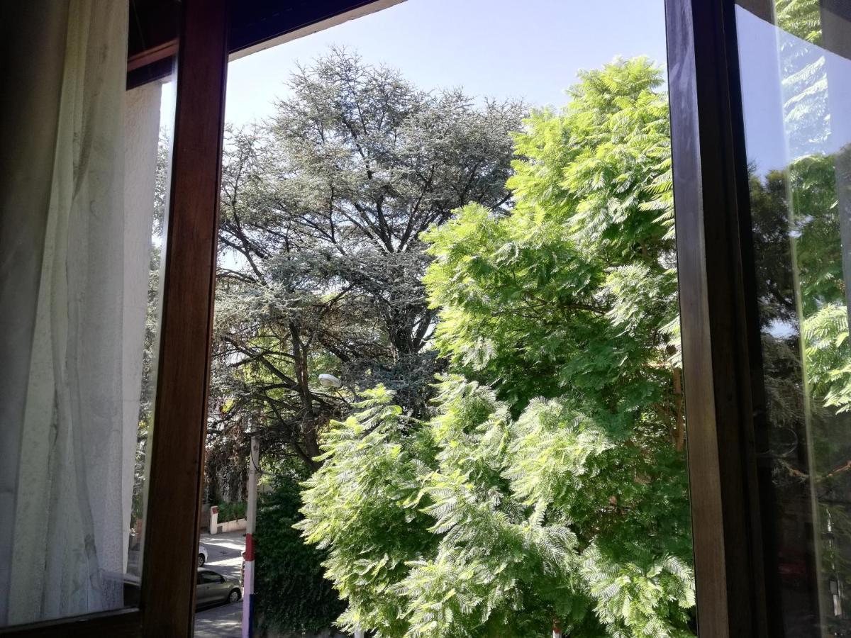 Private Room In Beautiful Home 蒙得维的亚 外观 照片