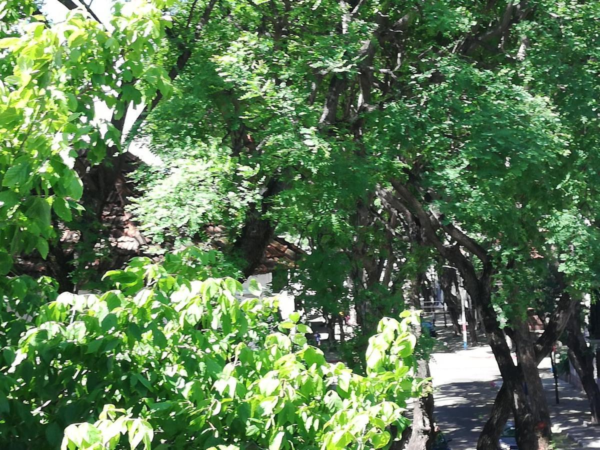 Private Room In Beautiful Home 蒙得维的亚 外观 照片