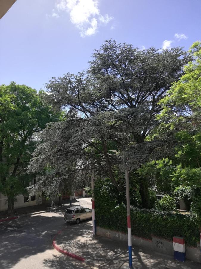 Private Room In Beautiful Home 蒙得维的亚 外观 照片