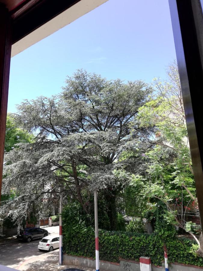 Private Room In Beautiful Home 蒙得维的亚 外观 照片