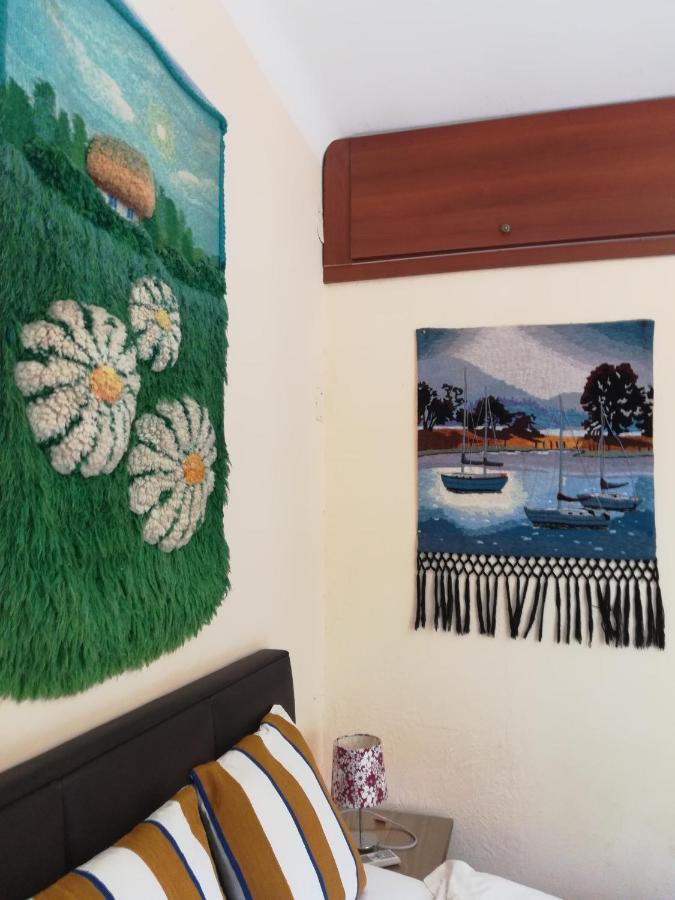 Private Room In Beautiful Home 蒙得维的亚 外观 照片